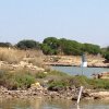 Marsala_2012 (278)